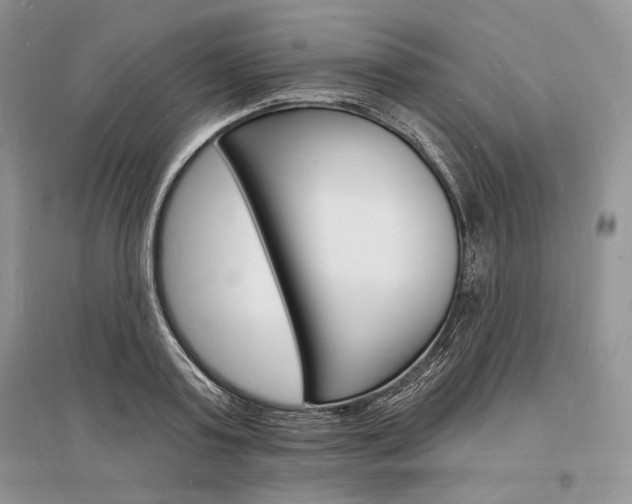 X0000096390795200801241115
