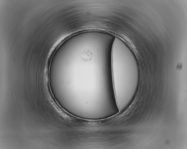 X0000096390796200801241115