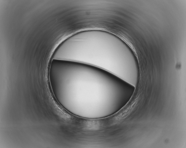 X0000096390797200801241115