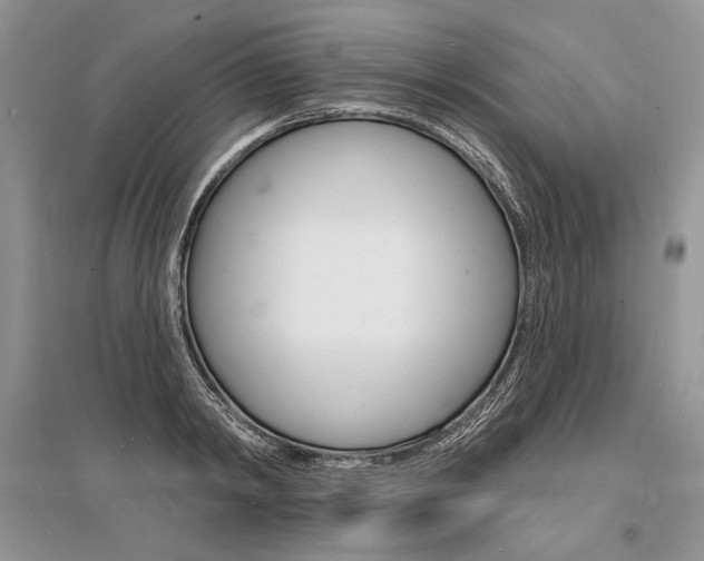 X0000096390798200801241115