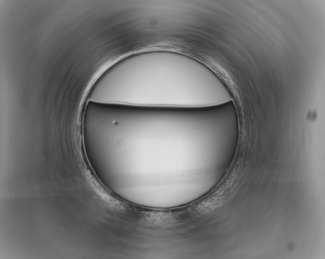 X0000096390800200801241115