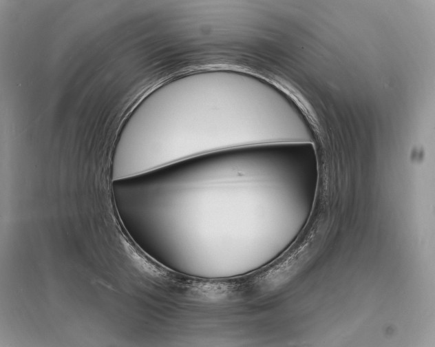X0000096390801200801241115