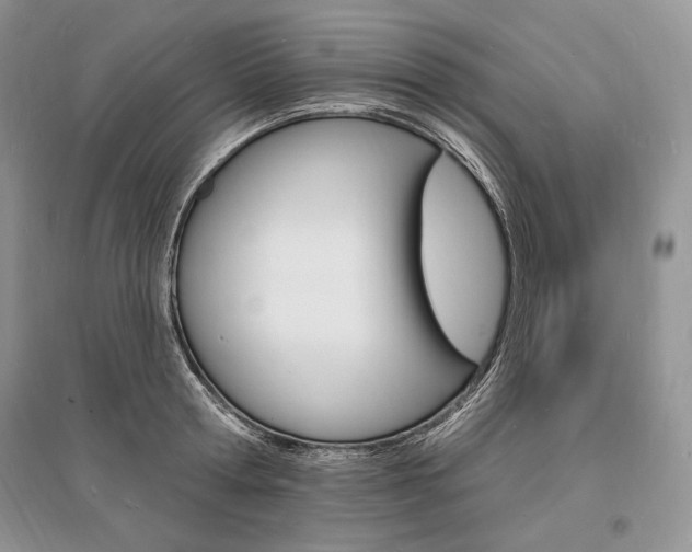 X0000096390802200801241115