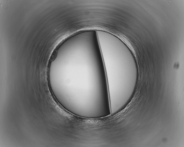 X0000096390805200801241115