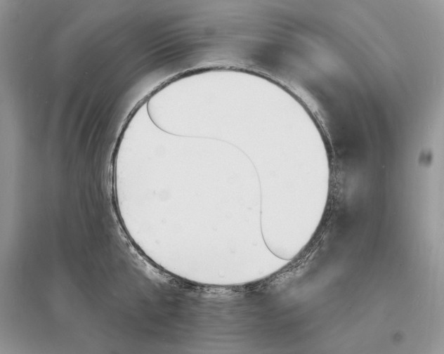 X0000096390807200801241115