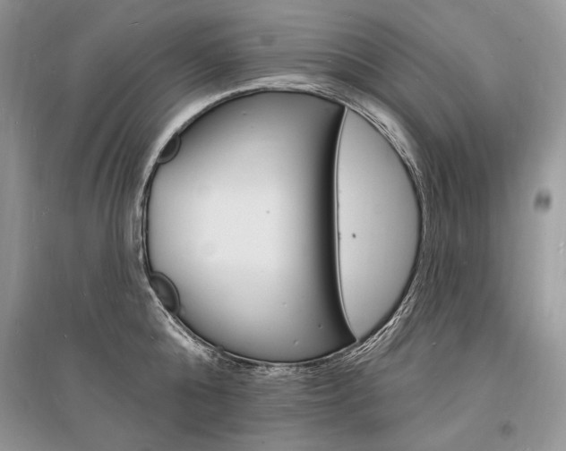 X0000096390808200801241115