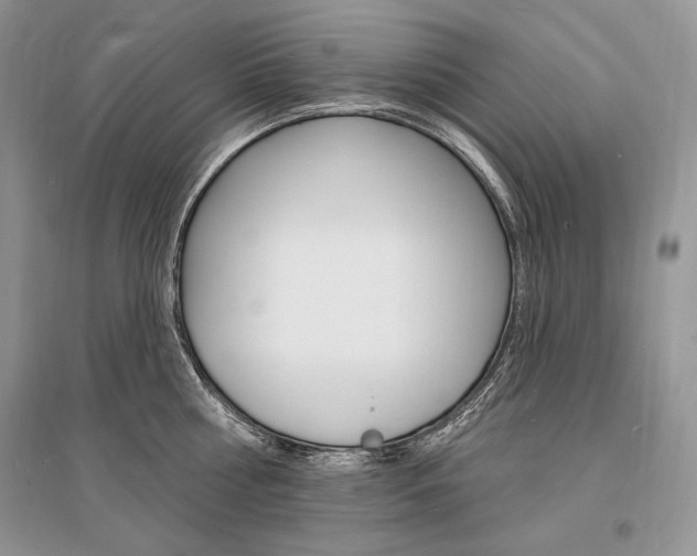 X0000096390810200801241115