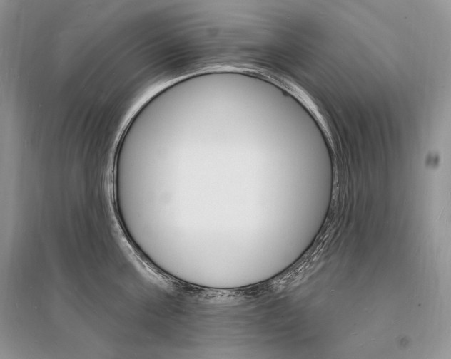 X0000096390811200801241115