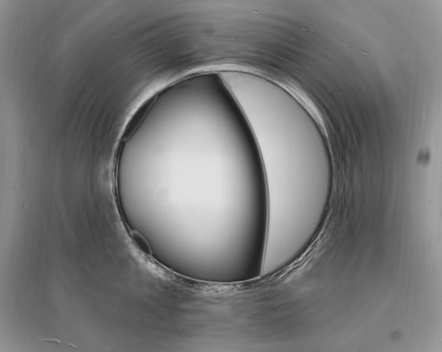 X0000096390813200801241115