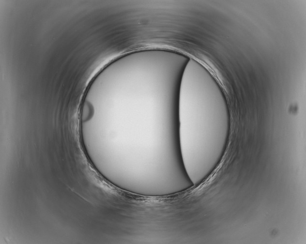 X0000096390814200801241115