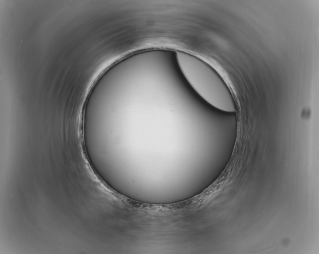 X0000096390815200801241115