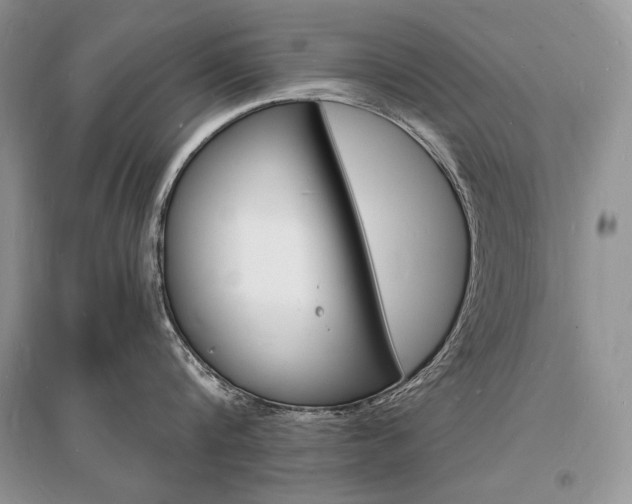 X0000096390816200801241115