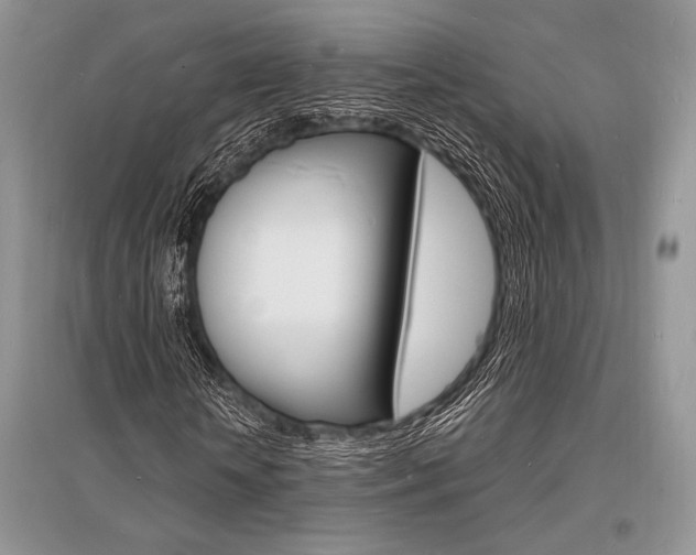 X0000096390818200801241114