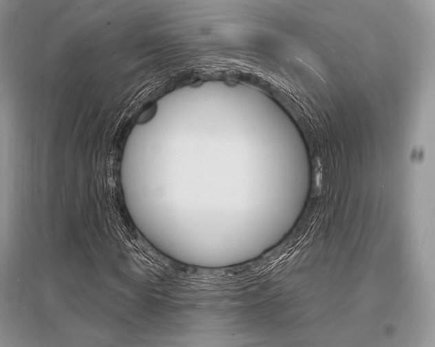 X0000096390819200801241114