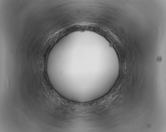 X0000096390821200801241114