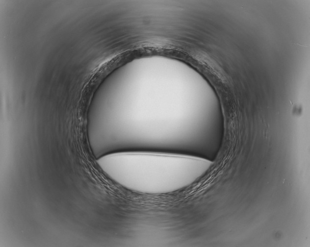 X0000096390822200801241114