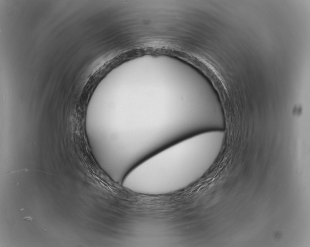 X0000096390823200801241114