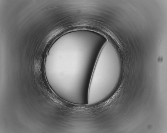 X0000096390826200801241114