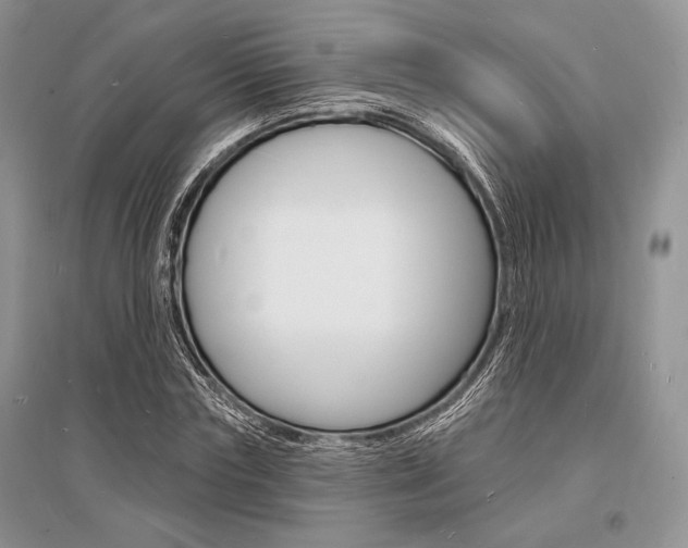 X0000096390827200801241114