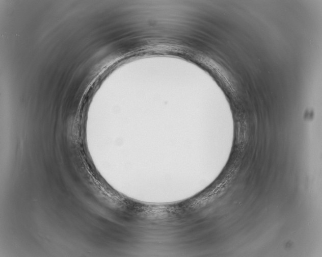 X0000096390828200801241114