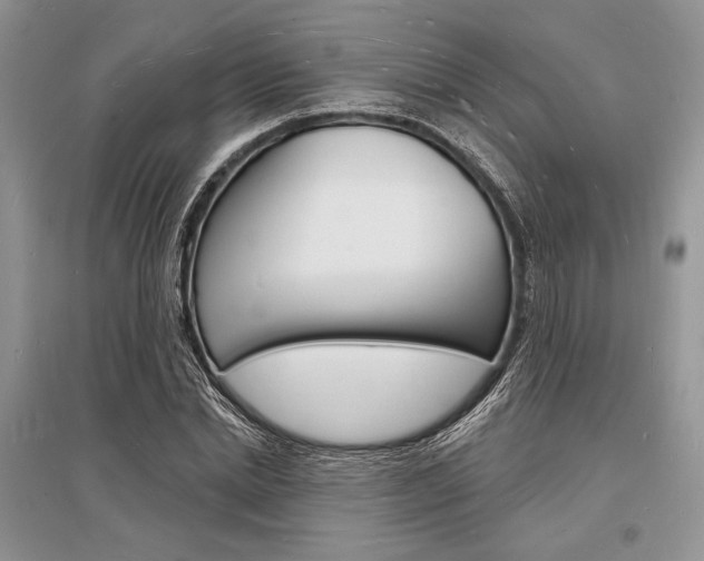 X0000096390830200801241114