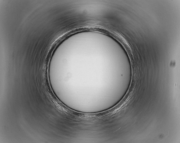 X0000096390831200801241114