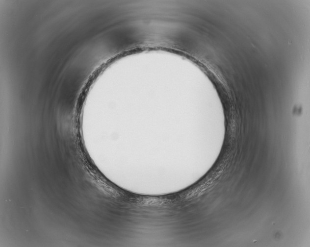 X0000096390832200801241114