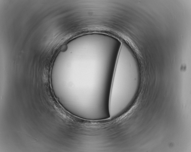 X0000096390833200801241114