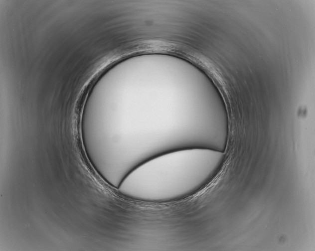 X0000096390835200801241114