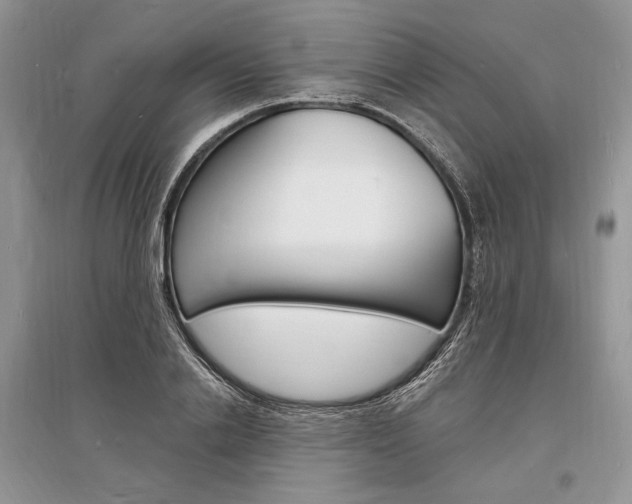 X0000096390838200801241114