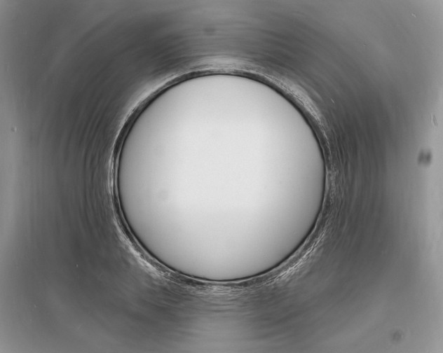 X0000096390839200801241114