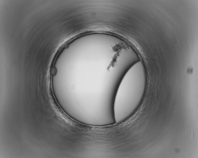X0000096390840200801241114