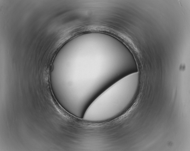 X0000096390841200801241114