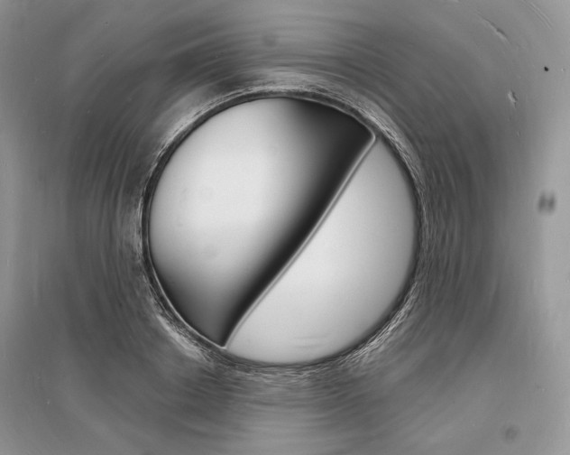 X0000096390842200801241114