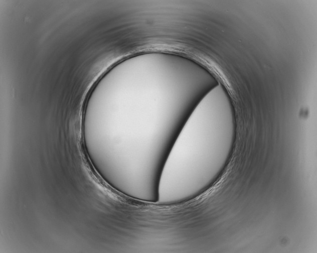 X0000096390844200801241114