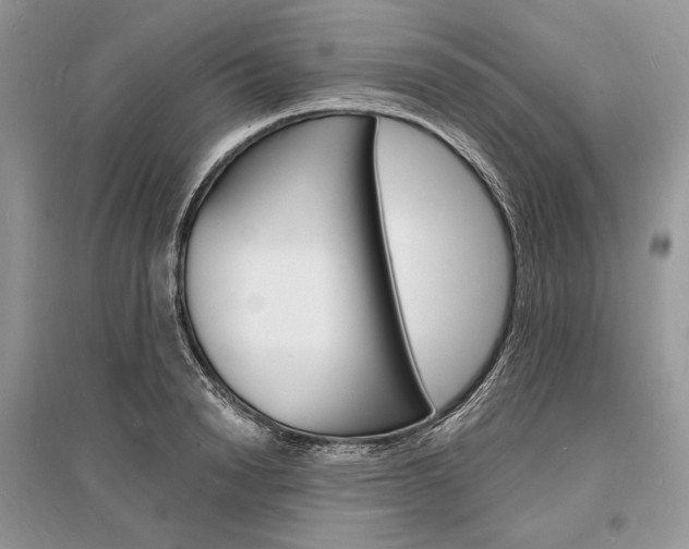 X0000096390846200801241114