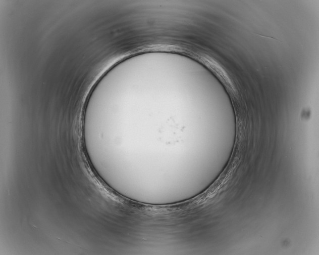 X0000096390852200801241115