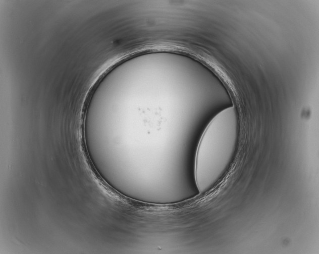 X0000096390853200801241115