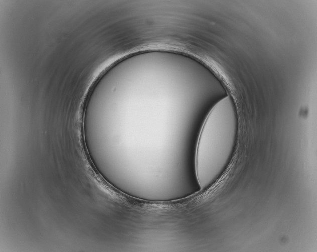 X0000096390854200801241115