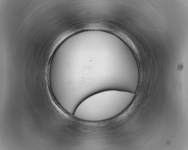 X0000096390855200801241115