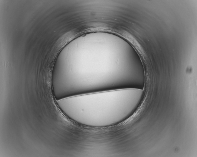 X0000096390857200801241115