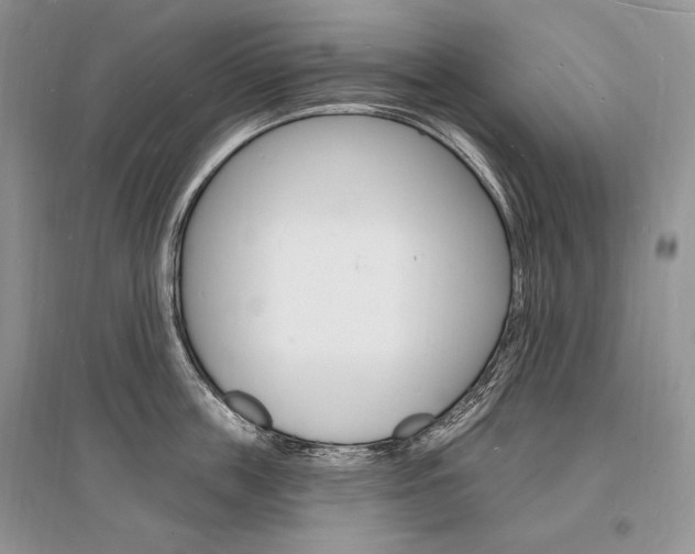 X0000096390859200801241115