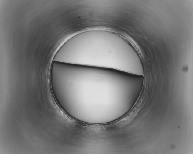 X0000096390860200801241115