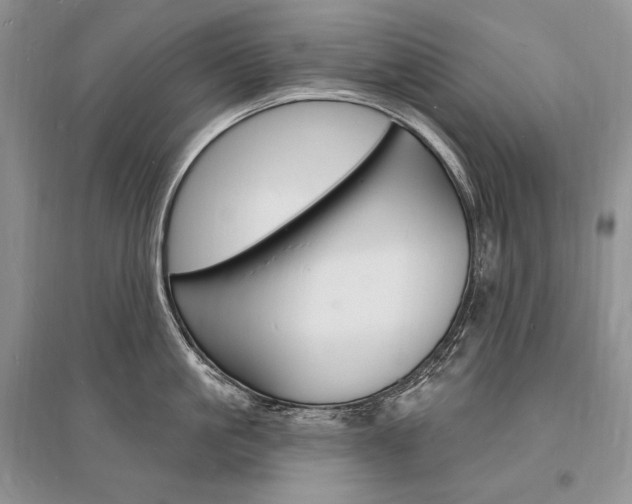 X0000096390861200801241115