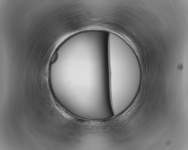 X0000096390862200801241115