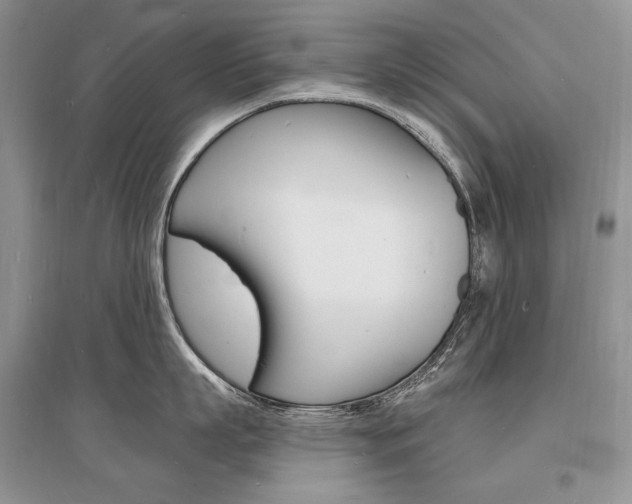 X0000096390863200801241115