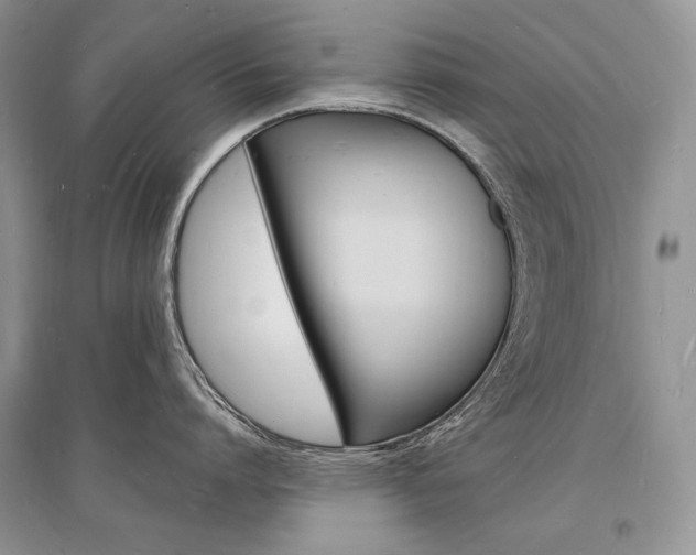 X0000096390864200801241115