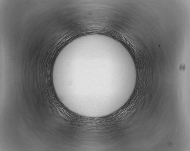 X0000096390868200801241114