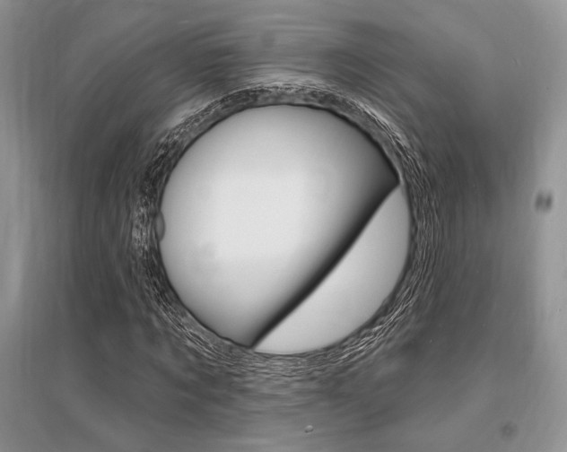 X0000096390869200801241114