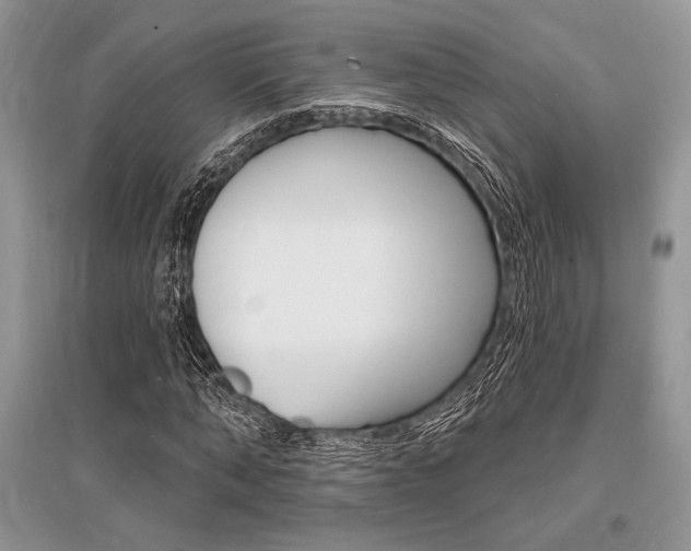 X0000096390870200801241114